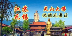 黄骚片免费看江苏无锡灵山大佛旅游风景区